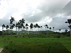 Naturaleza-Republica-Dominicana-1.jpg