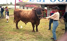 1992-Estela a Rio Bamba-Ecuador-07.jpg
