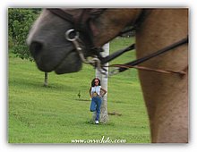 2003-Estela-El-Puerto-Dominicana.jpg