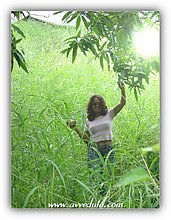 2005-Estela-in-El-Puerto-Republica-Dominicana.jpg