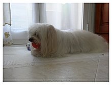 2013-Luna-casa-Arnesano.JPG