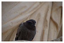 2015-06-Lecce-Italia-14.JPG