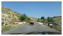 2015-Strada per Craco-Citta-fantasma-01.jpg