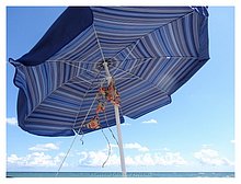 2015-Torre-Specchia-Lecce-0.JPG