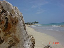 Bavaro-Beach-Republica-Dominicana-5.jpg