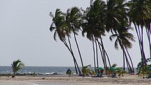 Boca-Chica-Republica-Dominicana-6.jpg