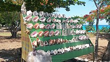 Caracoles-Autopista-Santo-Domingo.jpg