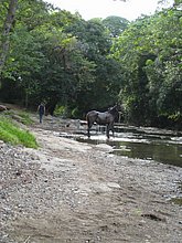 El-Puerto-San-Jose-De-los-Llanos-Macorix-17.jpg