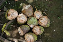 El-Puerto-San-Jose-De-los-Llanos-Macorix-23.jpg