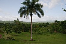 El-Puerto-San-Jose-De-los-Llanos-Macorix-26.jpg