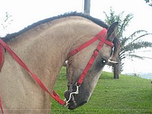 El-Puerto-San-Jose-De-los-Llanos-Macorix-27.jpg