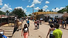El-Puerto-San-Jose-De-los-Llanos-Macorix-28.jpg
