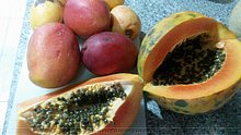 Fruta-Exotica-Republica-Dominicana-3.jpg