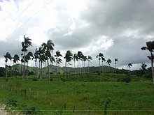 Naturaleza-Republica-Dominicana-1.jpg