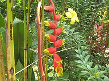 Naturaleza-Republica-Dominicana-5.jpg