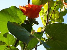 Naturaleza-Republica-Dominicana-8.jpg